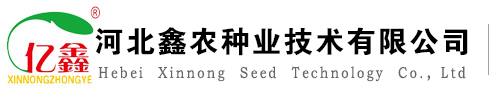 蘇州貝萊爾彈簧制造有限公司